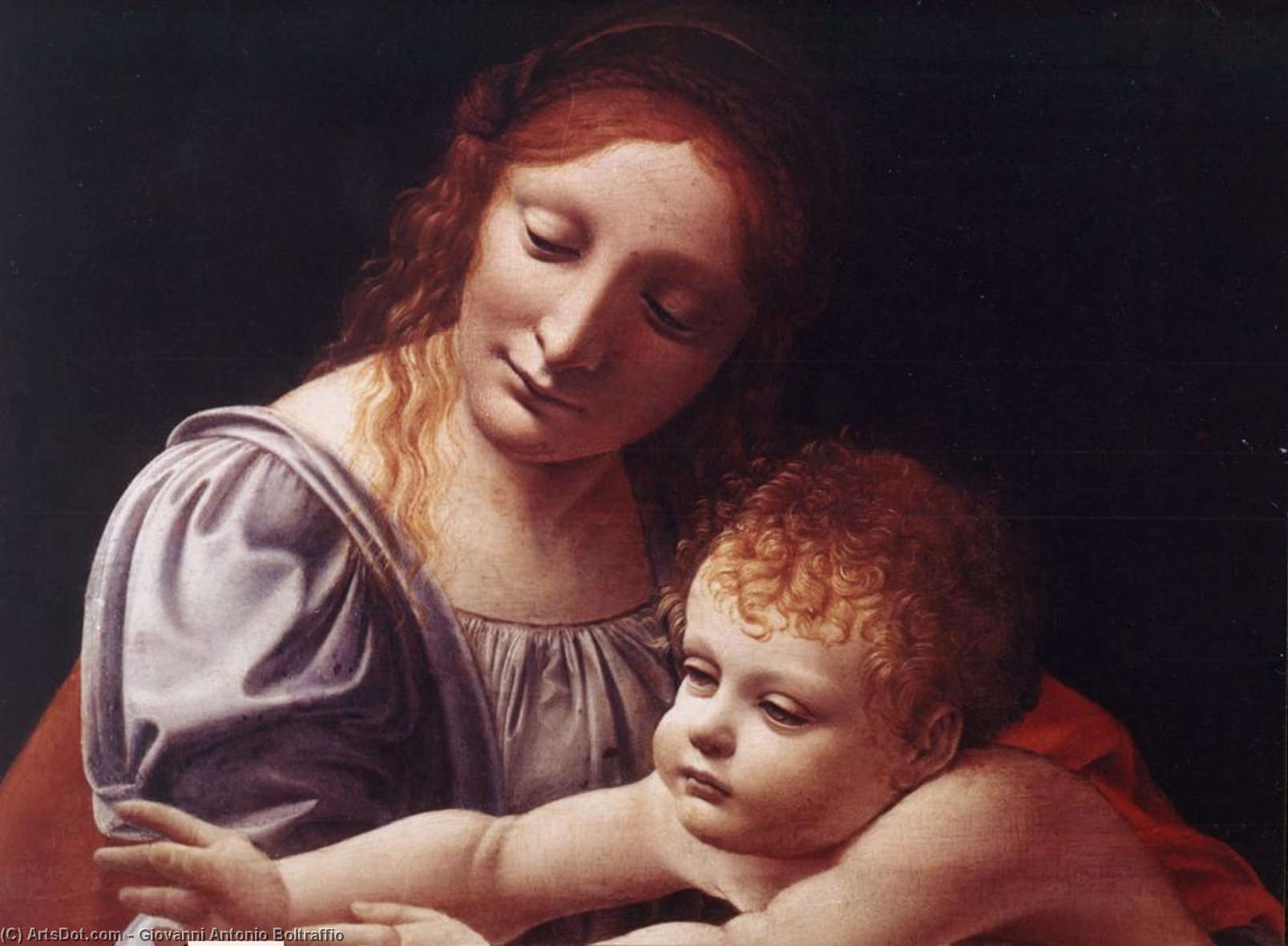 Wikioo.org - The Encyclopedia of Fine Arts - Painting, Artwork by Giovanni Antonio Boltraffio - The Virgin and Child (detail)