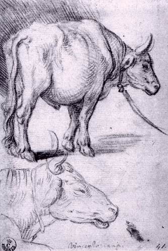Wikioo.org - The Encyclopedia of Fine Arts - Painting, Artwork by Vincenzo Campi - Two Studies of Bulls