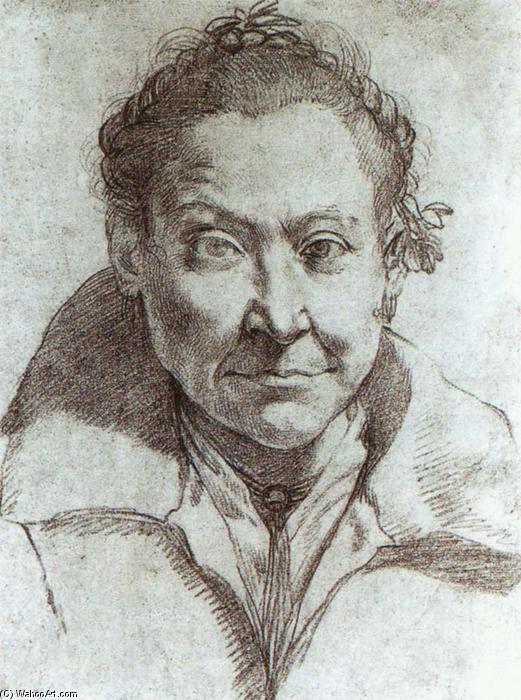 Wikioo.org - The Encyclopedia of Fine Arts - Painting, Artwork by Agostino Carracci - Portrait of a Woman