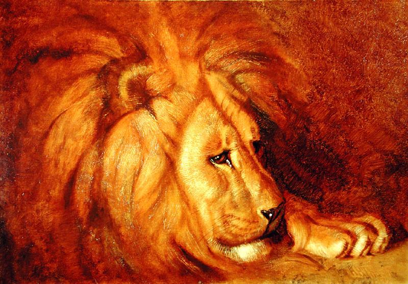 Wikioo.org - The Encyclopedia of Fine Arts - Painting, Artwork by Abbott Handerson Thayer - Lion at Rest
