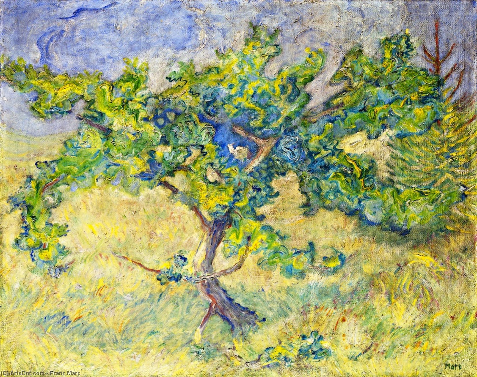 Wikioo.org - The Encyclopedia of Fine Arts - Painting, Artwork by Franz Marc - Little Oak Tree