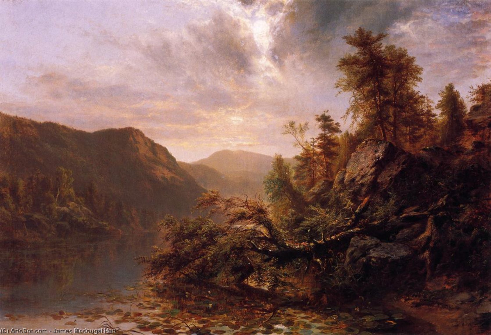WikiOO.org - Енциклопедія образотворчого мистецтва - Живопис, Картини
 James Mcdougal Hart - Loon Lake