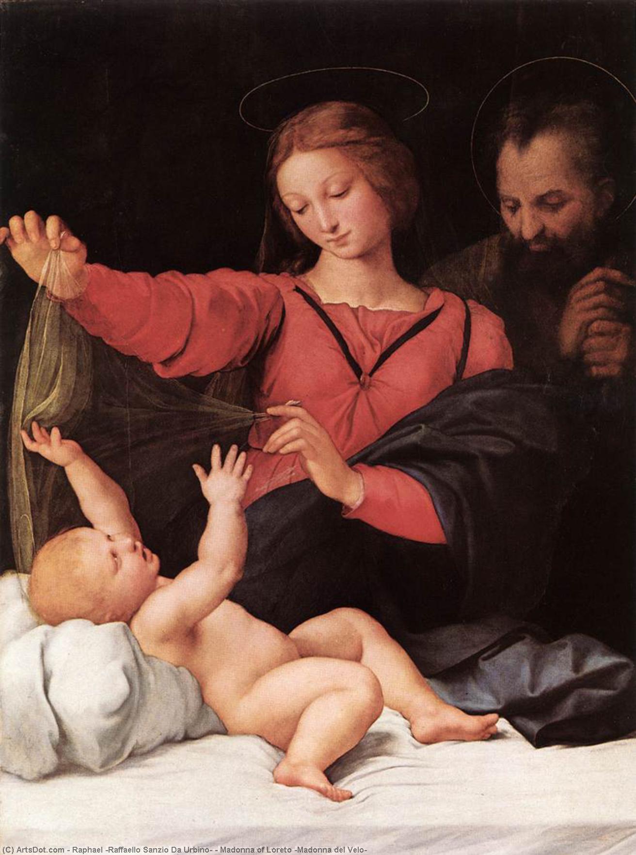 Wikioo.org - Bách khoa toàn thư về mỹ thuật - Vẽ tranh, Tác phẩm nghệ thuật Raphael (Raffaello Sanzio Da Urbino) - Madonna of Loreto (Madonna del Velo)