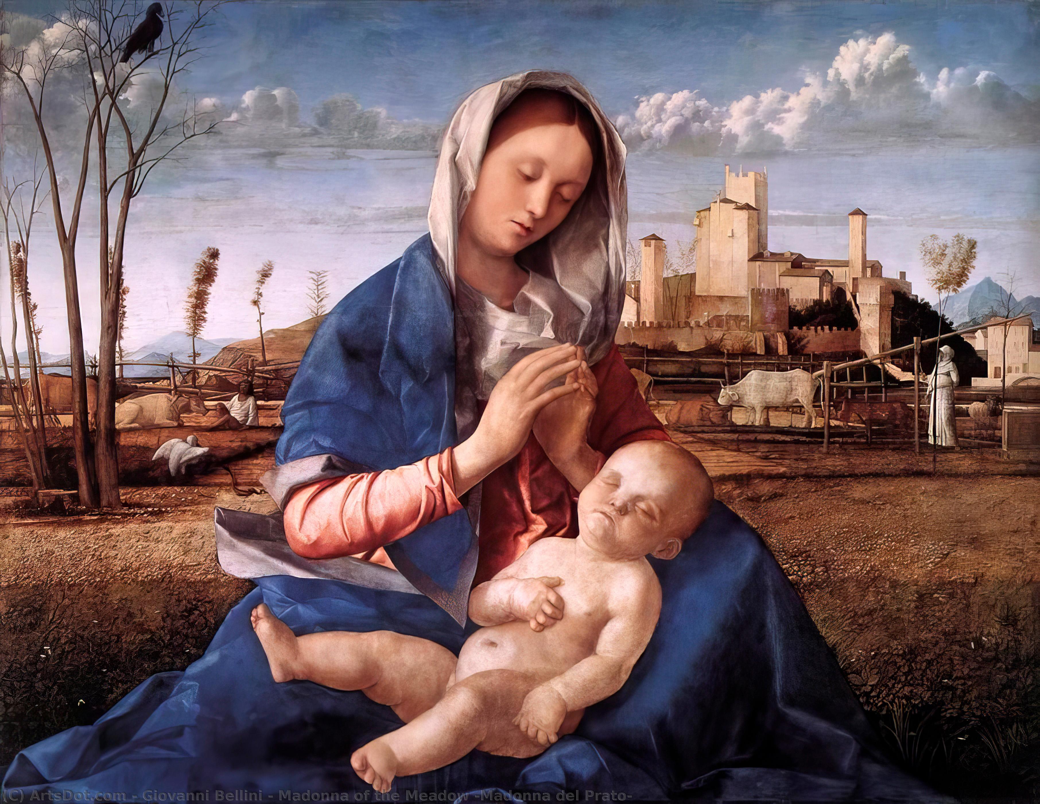 Wikioo.org - The Encyclopedia of Fine Arts - Painting, Artwork by Giovanni Bellini - Madonna of the Meadow (Madonna del Prato)