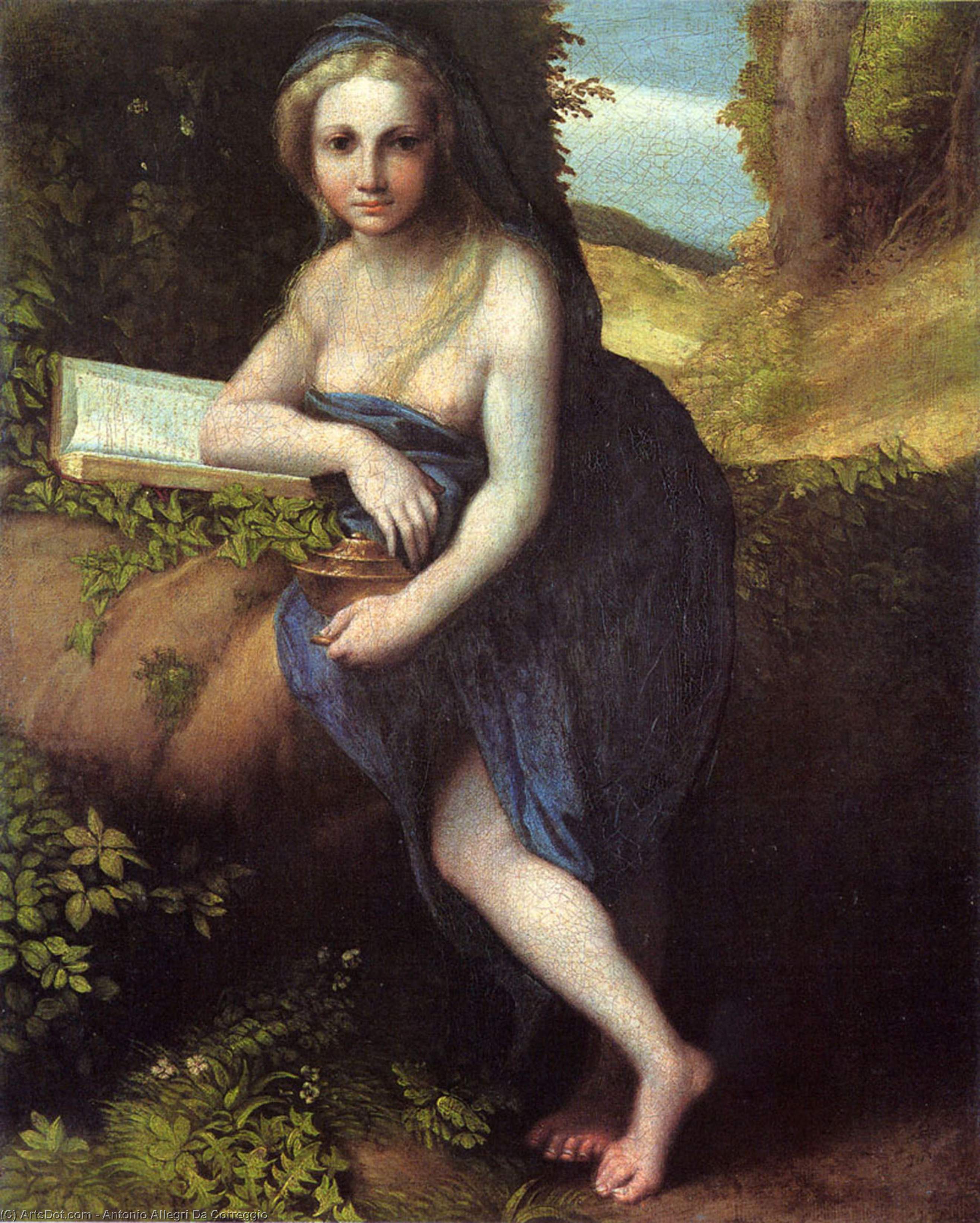 Wikioo.org - The Encyclopedia of Fine Arts - Painting, Artwork by Antonio Allegri Da Correggio - The Magdalene