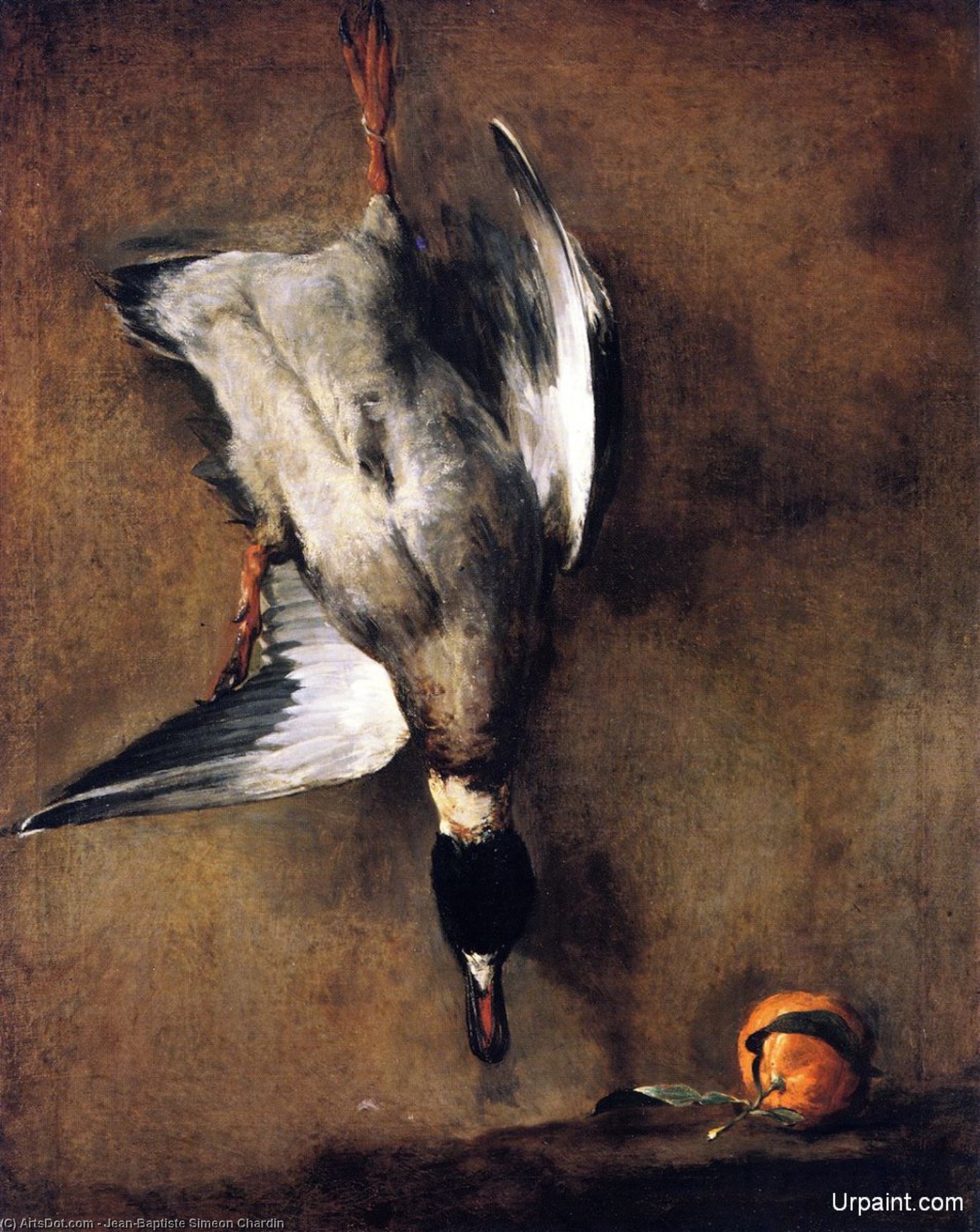 WikiOO.org - Encyclopedia of Fine Arts - Maleri, Artwork Jean-Baptiste Simeon Chardin - A Mallard Drake Hanging on a Wall and a Seville Orange