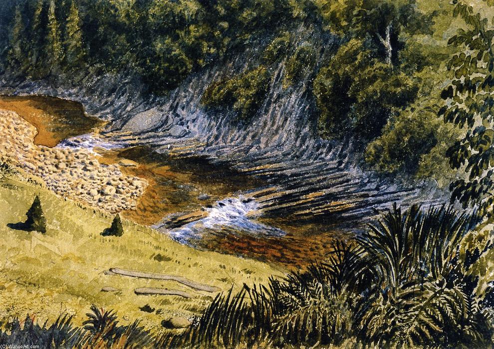 Wikioo.org - The Encyclopedia of Fine Arts - Painting, Artwork by William George Richardson Hind - McLellan's Brook