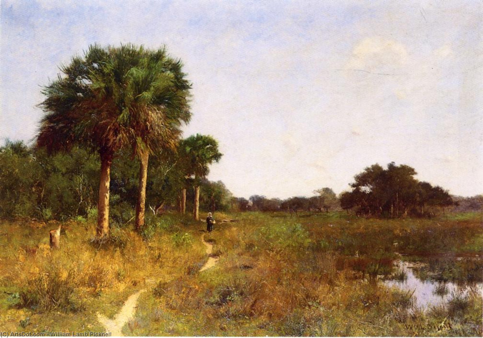 Wikioo.org - สารานุกรมวิจิตรศิลป์ - จิตรกรรม William Lamb Picknell - Midwinter in Florida