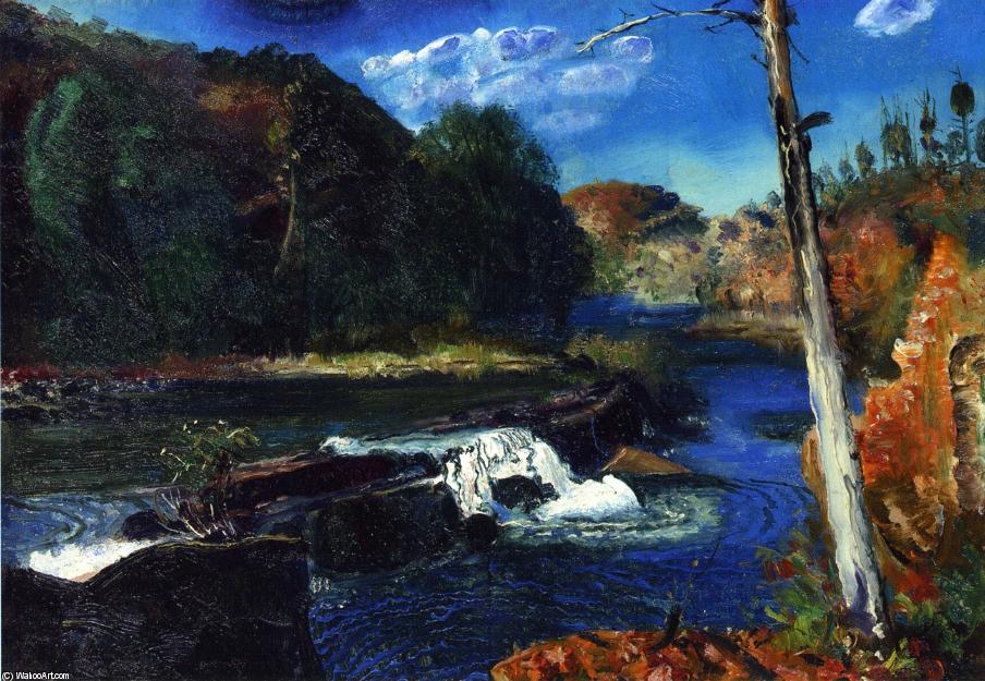Wikioo.org - The Encyclopedia of Fine Arts - Painting, Artwork by George Wesley Bellows - Mill Dam