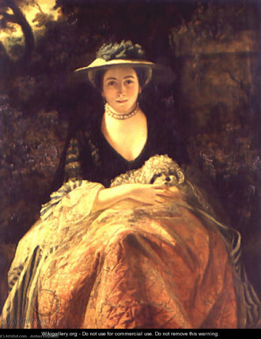 Wikioo.org - The Encyclopedia of Fine Arts - Painting, Artwork by Joshua Reynolds - Miss Nelly O'Brien