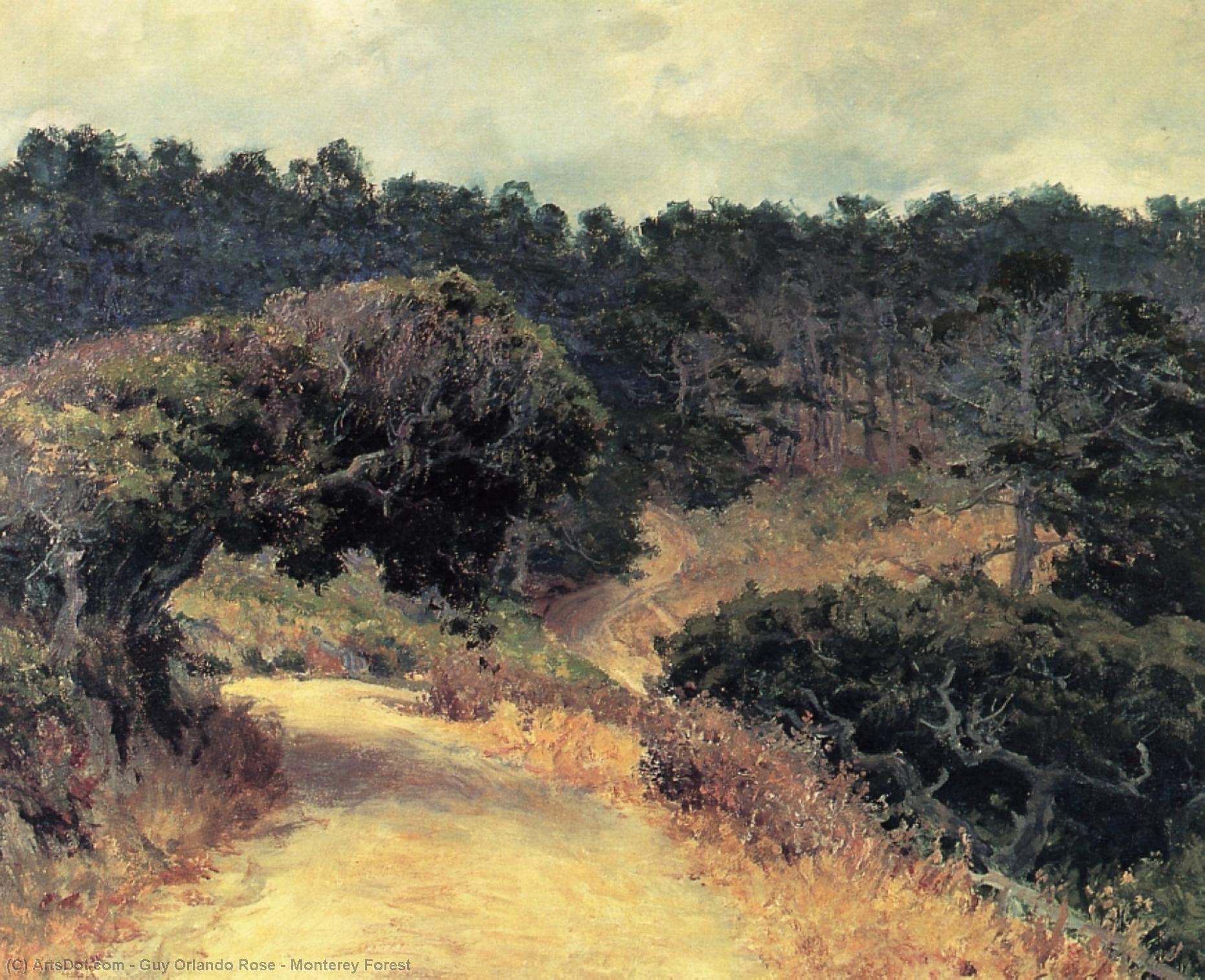 Wikioo.org - The Encyclopedia of Fine Arts - Painting, Artwork by Guy Orlando Rose - Monterey Forest