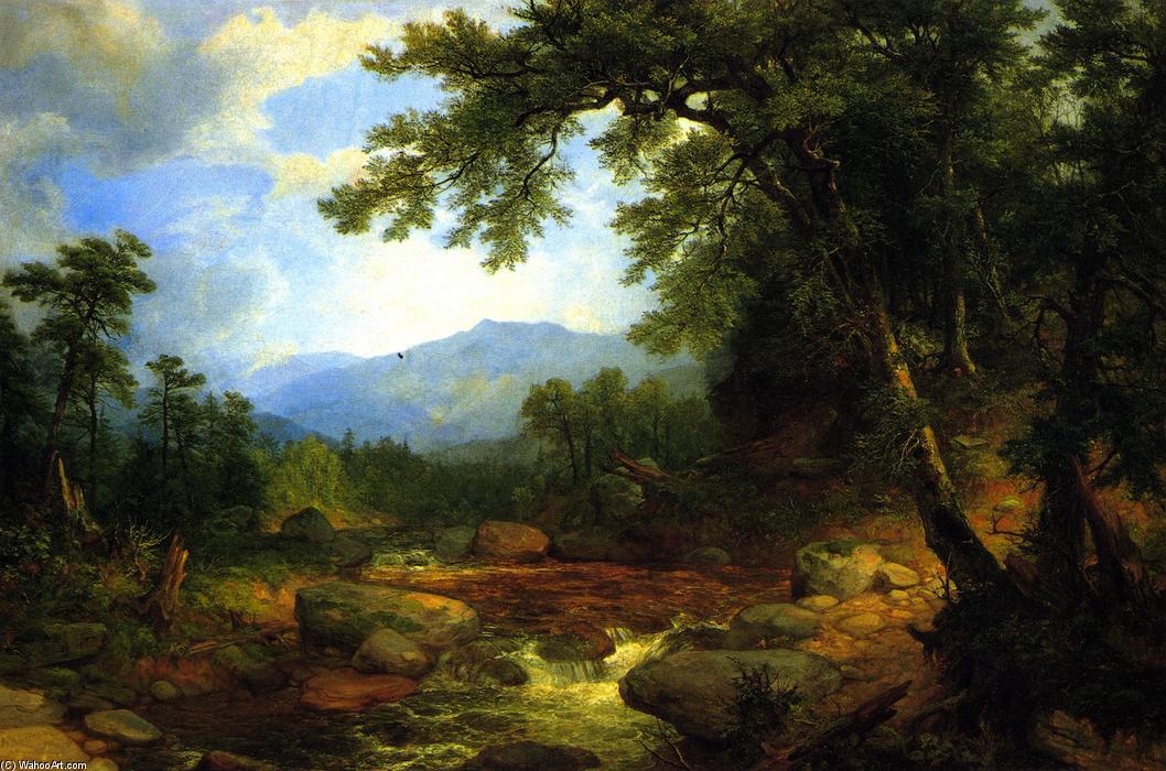 Wikioo.org - The Encyclopedia of Fine Arts - Painting, Artwork by Asher Brown Durand - Monument Mountain, Berkshires