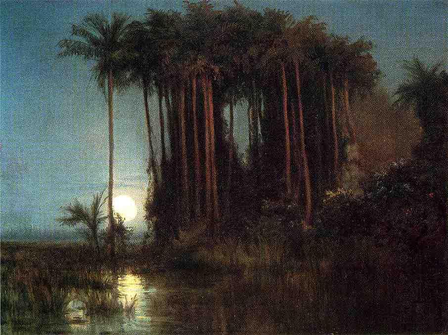 Wikioo.org - The Encyclopedia of Fine Arts - Painting, Artwork by Louis Remy Mignot - Moonlight over a Marsh in Ecuador