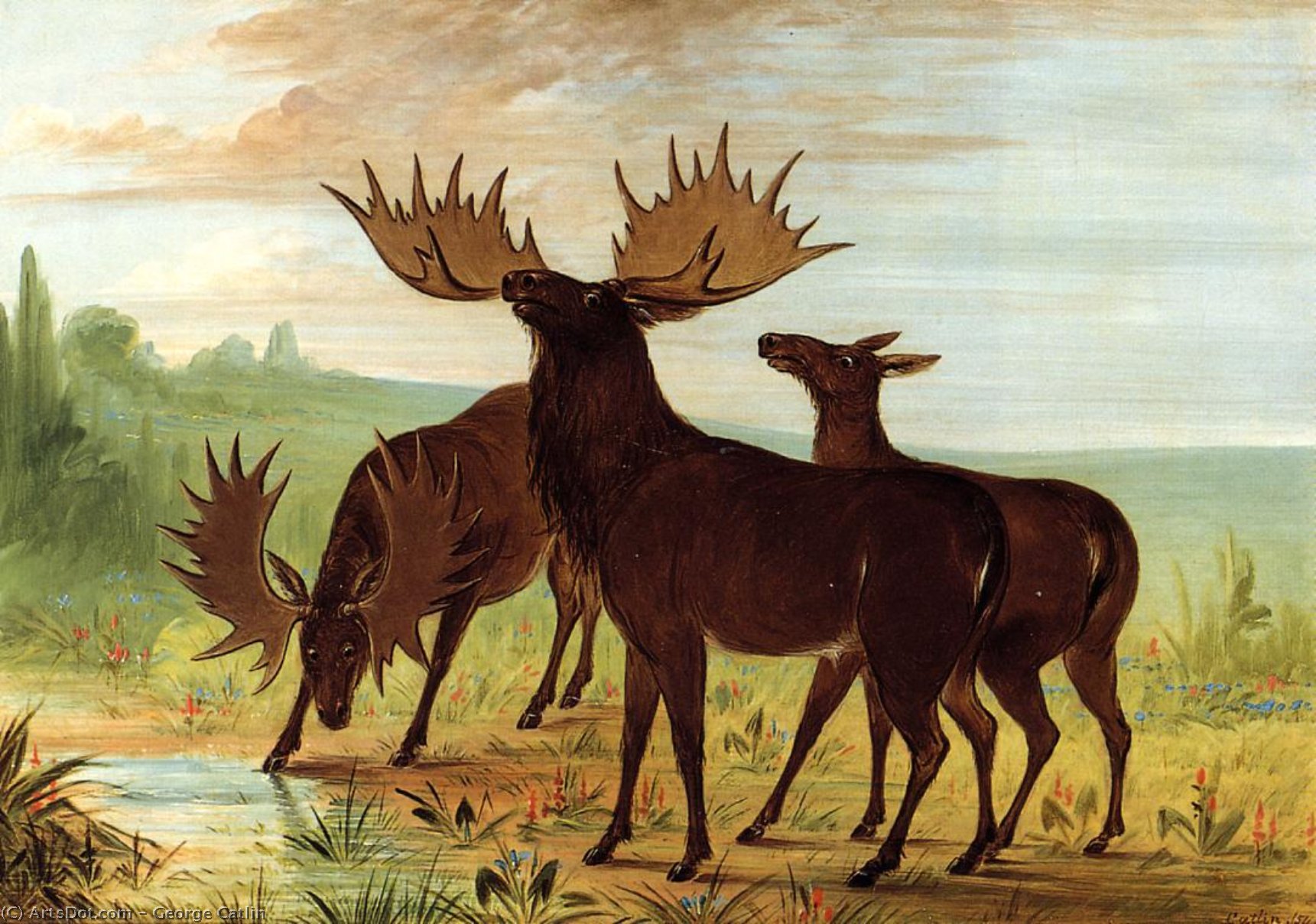 WikiOO.org - Encyclopedia of Fine Arts - Lukisan, Artwork George Catlin - Moose at Waterhole