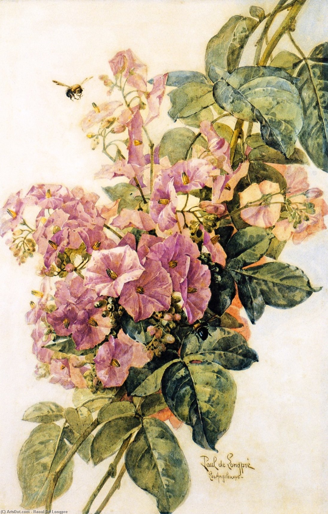 Wikioo.org - The Encyclopedia of Fine Arts - Painting, Artwork by Raoul De Longpre - Morning Glories