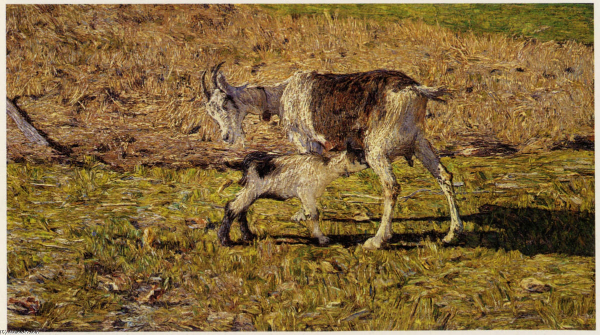 Wikioo.org - The Encyclopedia of Fine Arts - Painting, Artwork by Giovanni Segantini - Mountain Pasture in May