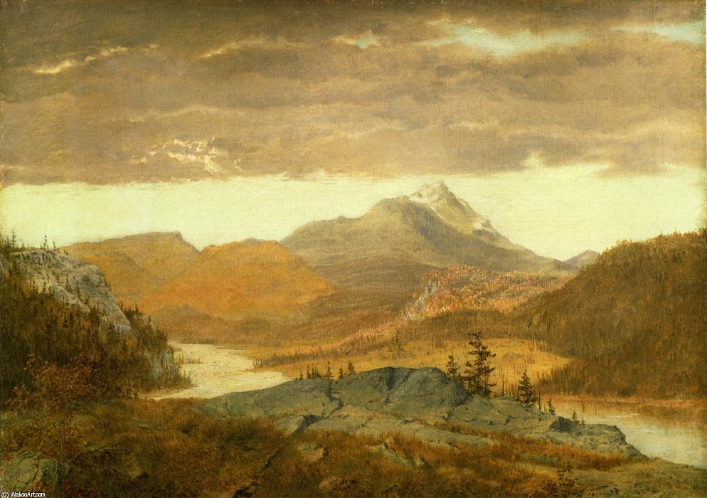 Wikioo.org - The Encyclopedia of Fine Arts - Painting, Artwork by Alexander Helwig Wyant - Mountain Vista