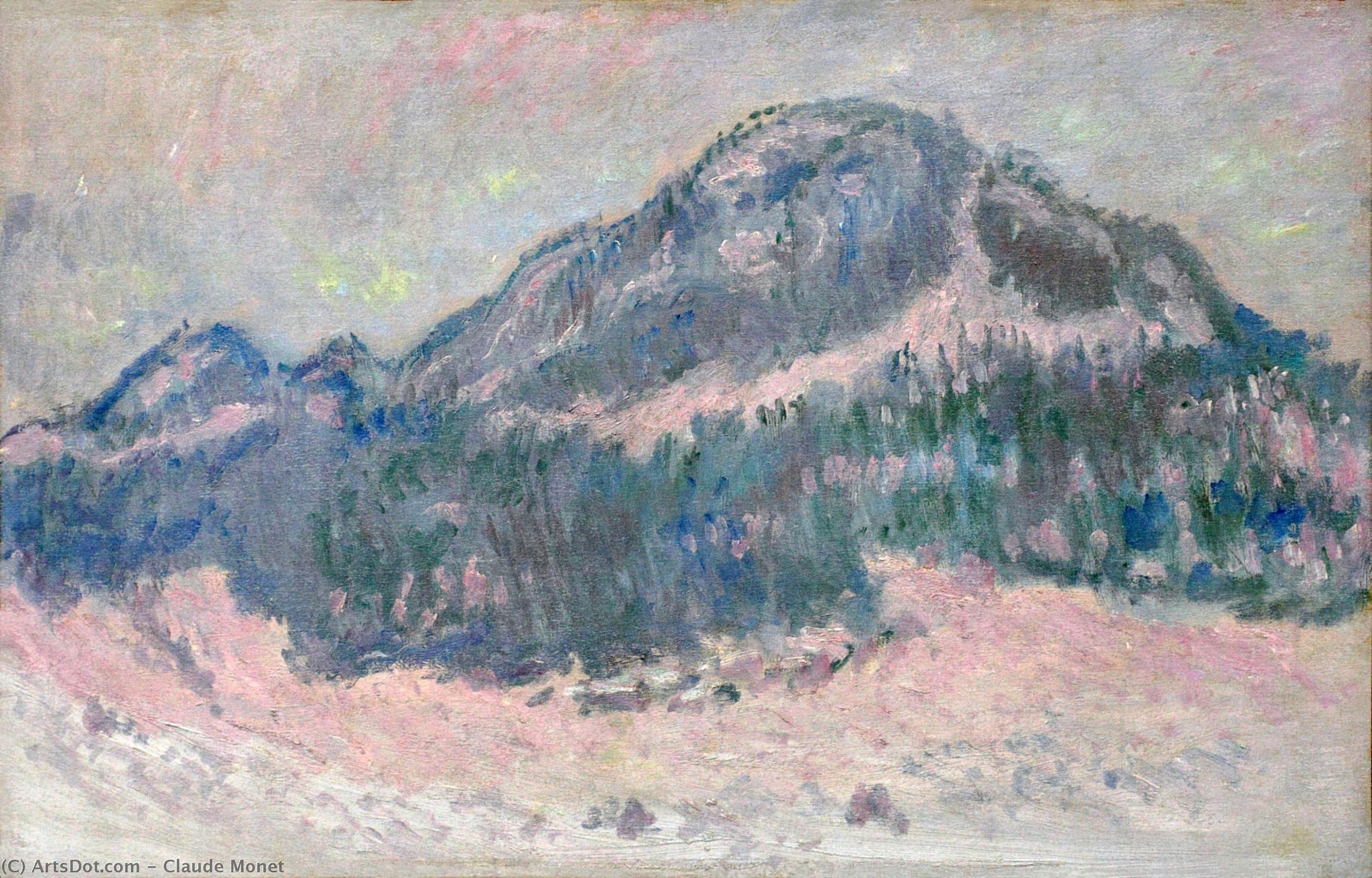 Wikioo.org – La Enciclopedia de las Bellas Artes - Pintura, Obras de arte de Claude Monet - Monte Kolsaas rosados  reflexión