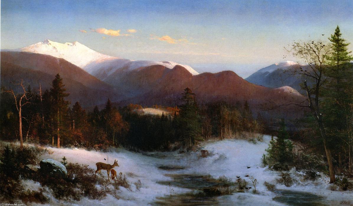 Wikioo.org - The Encyclopedia of Fine Arts - Painting, Artwork by Thomas Hill - Mount Lafayette in Winter