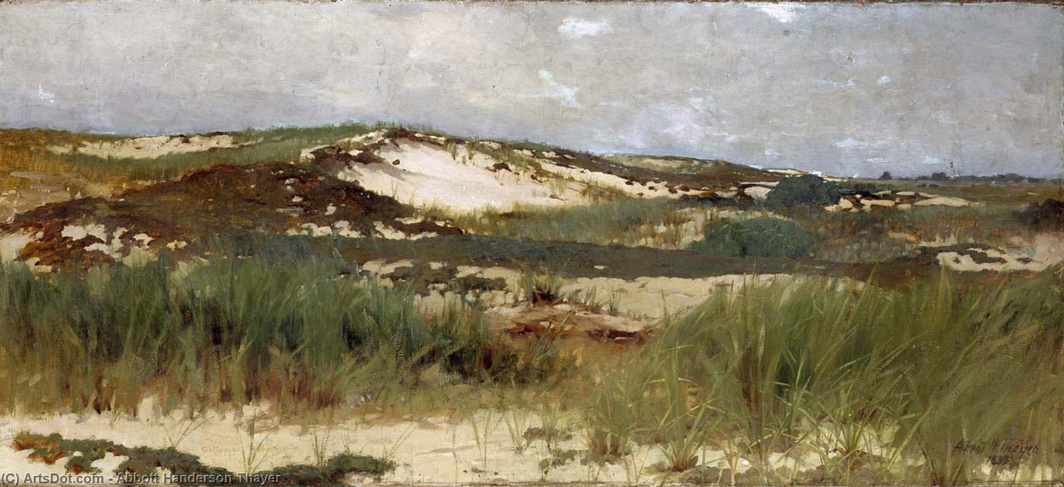 Wikioo.org - The Encyclopedia of Fine Arts - Painting, Artwork by Abbott Handerson Thayer - Nantucket Sand Dune