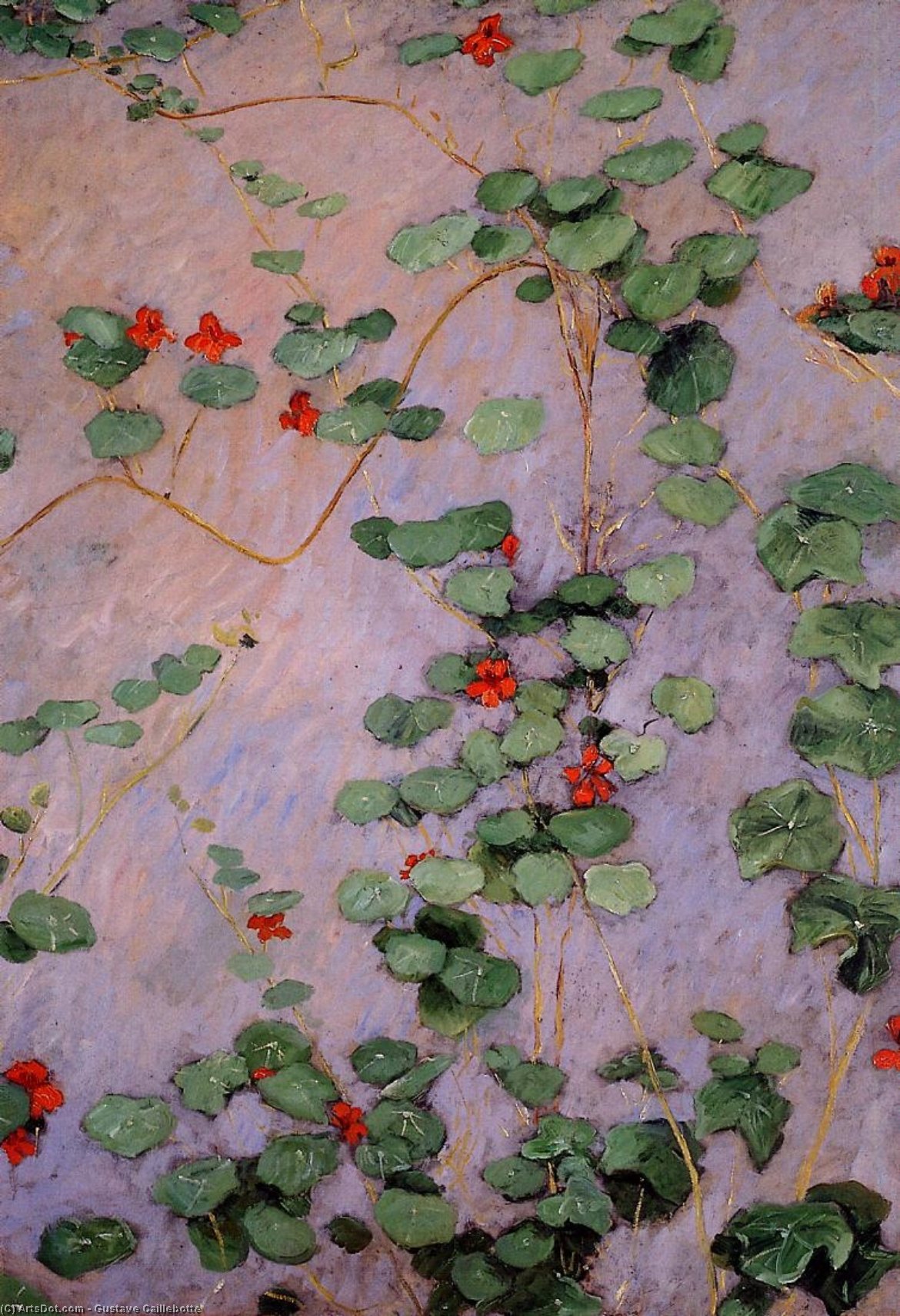 WikiOO.org - Güzel Sanatlar Ansiklopedisi - Resim, Resimler Gustave Caillebotte - Nasturtiums