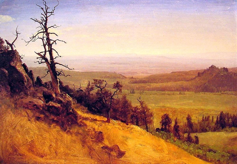 Wikioo.org - The Encyclopedia of Fine Arts - Painting, Artwork by Albert Bierstadt - Nebraska Wasatch Mountains