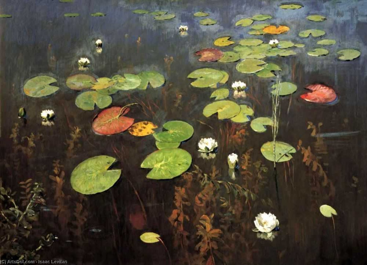 Wikioo.org – La Enciclopedia de las Bellas Artes - Pintura, Obras de arte de Isaak Ilyich Levitan - Neuphars ( también conocida como lirios del agua )