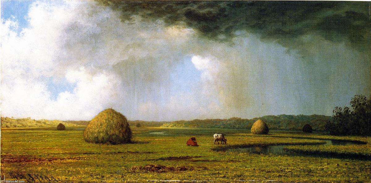Wikioo.org - The Encyclopedia of Fine Arts - Painting, Artwork by Martin Johnson Heade - New Jersey Meadows
