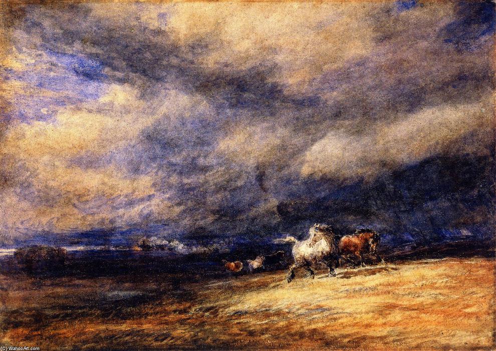 Wikioo.org - The Encyclopedia of Fine Arts - Painting, Artwork by David Cox - The Night Train