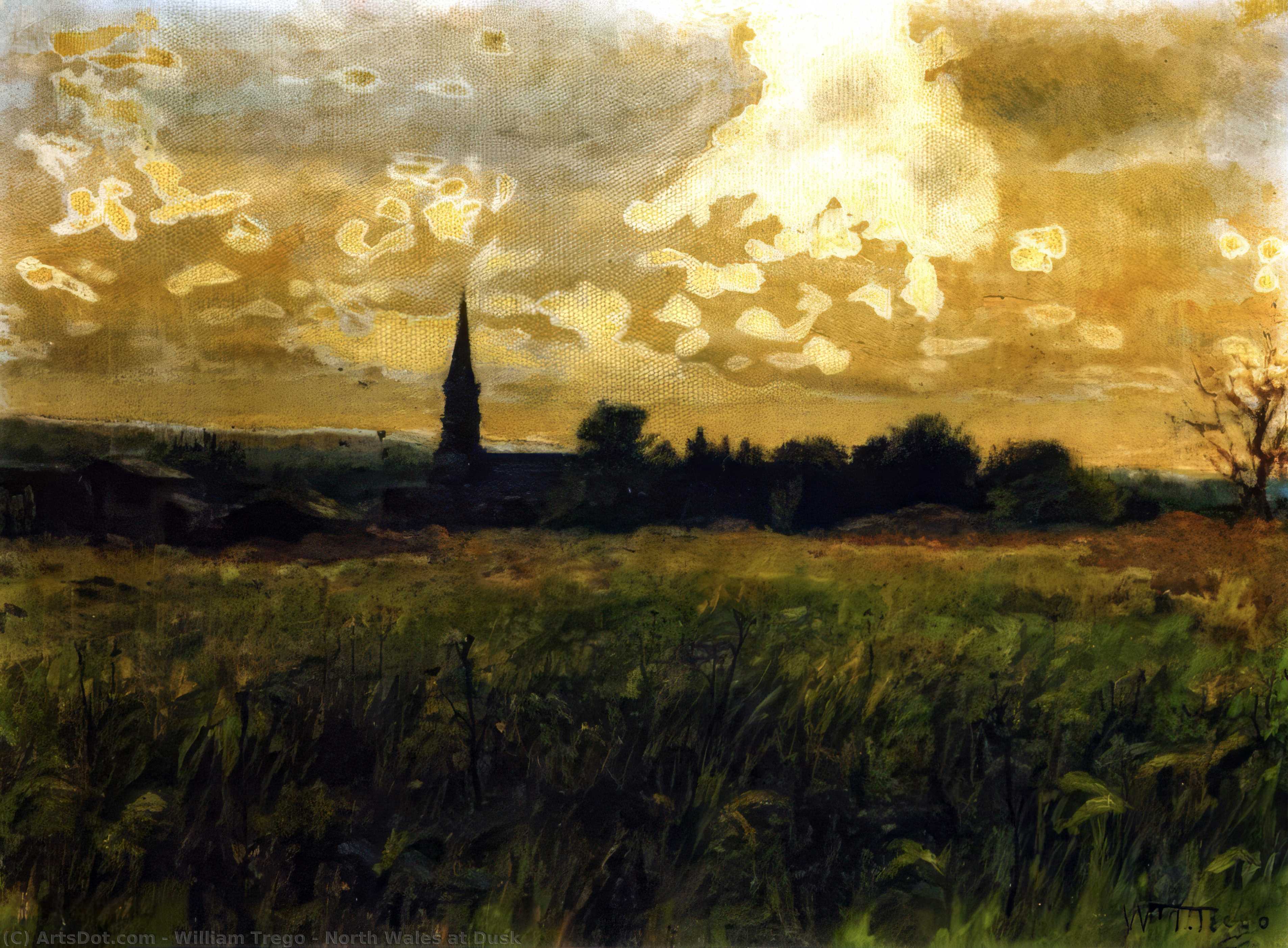 Wikioo.org - The Encyclopedia of Fine Arts - Painting, Artwork by William Trego - North Wales at Dusk