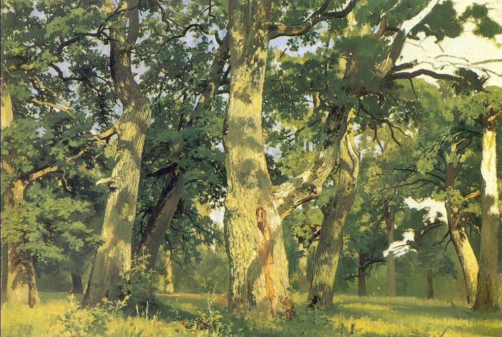 Wikioo.org - The Encyclopedia of Fine Arts - Painting, Artwork by Ivan Ivanovich Shishkin - Oaks, evening (study for picture Oak-wood)