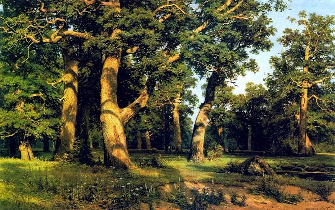 Wikioo.org - The Encyclopedia of Fine Arts - Painting, Artwork by Ivan Ivanovich Shishkin - Oak-wood