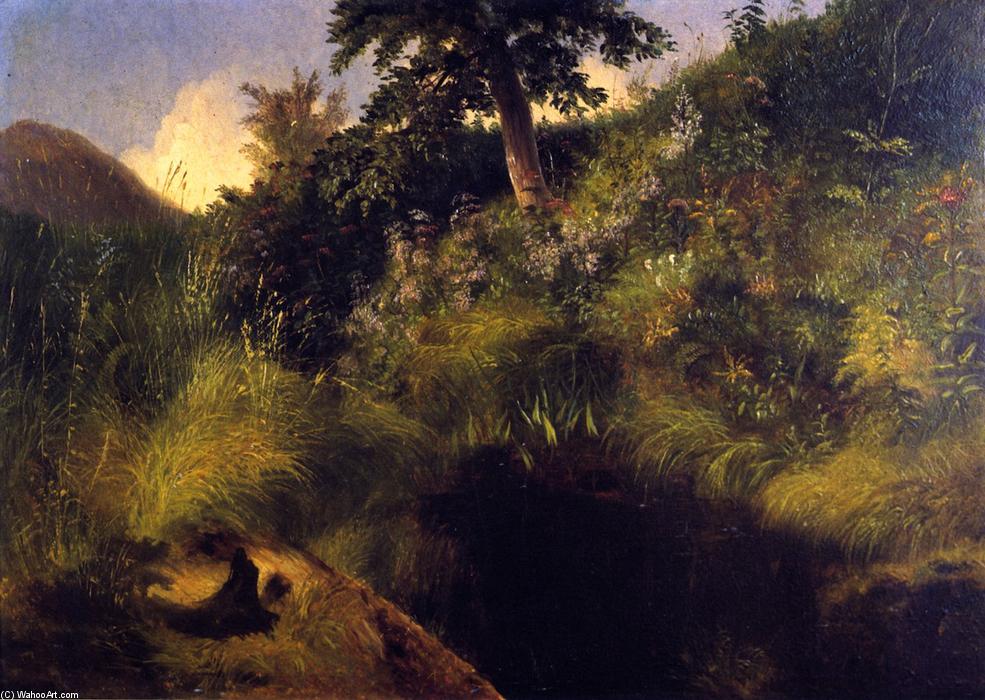 Wikioo.org - The Encyclopedia of Fine Arts - Painting, Artwork by Louis Remy Mignot - The Old Bog Hole
