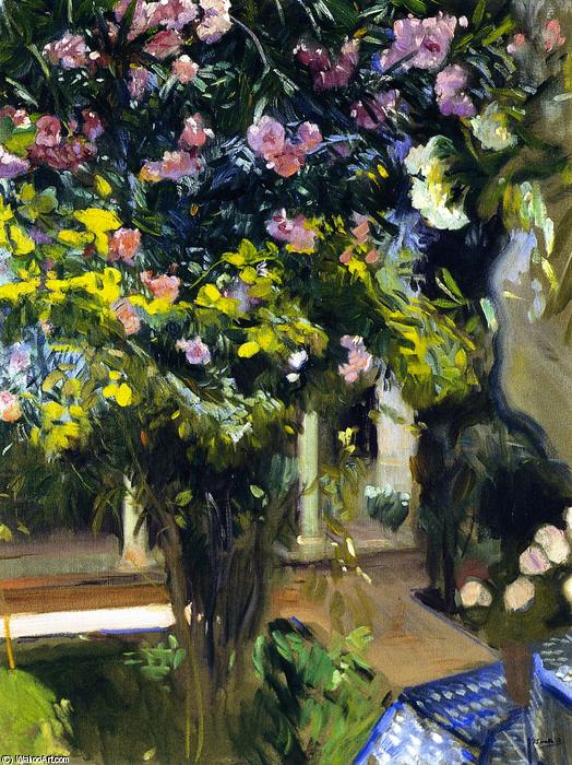 Wikioo.org - The Encyclopedia of Fine Arts - Painting, Artwork by Joaquin Sorolla Y Bastida - Oleanders in the Patio of the Sorolla House