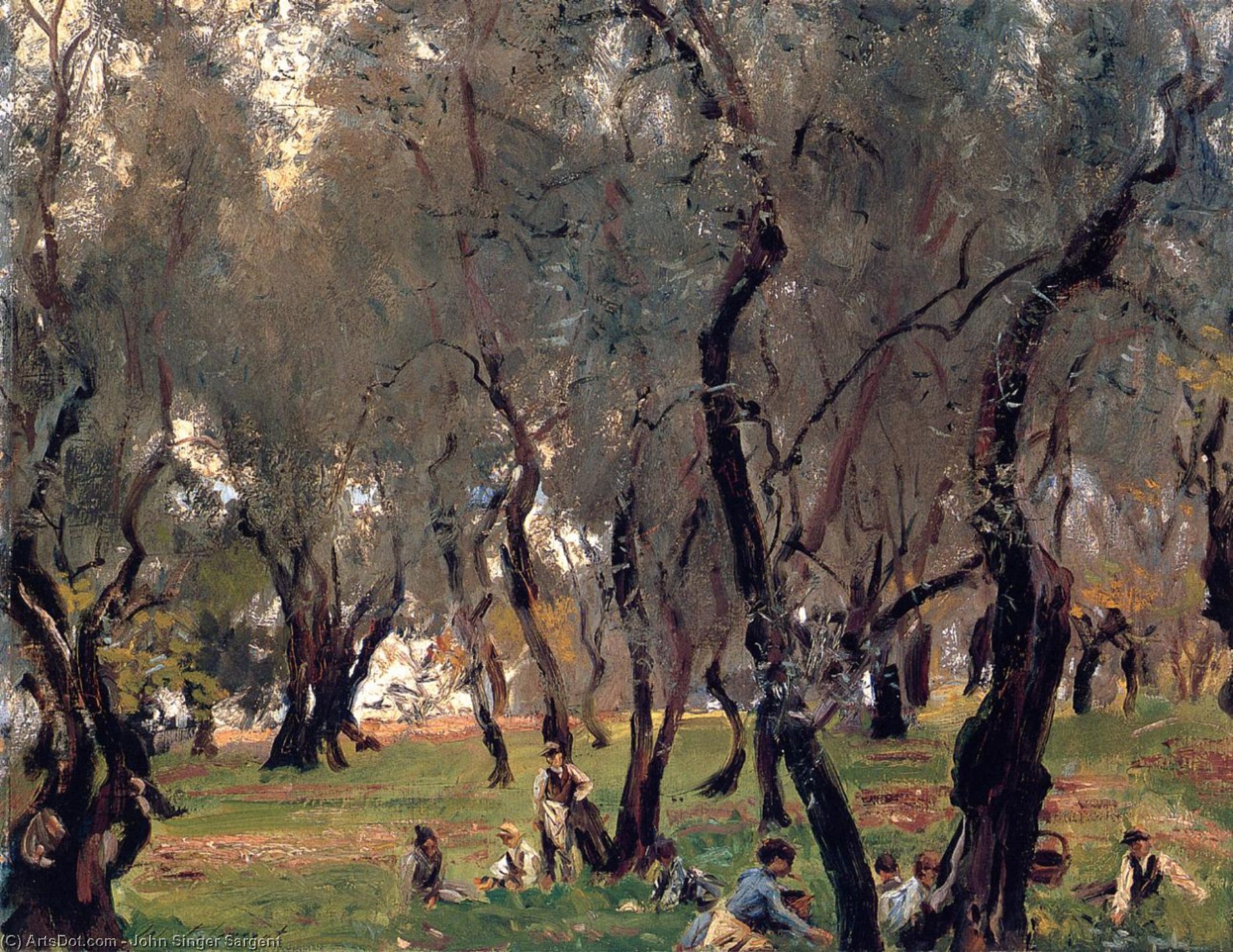 Wikioo.org - The Encyclopedia of Fine Arts - Painting, Artwork by John Singer Sargent - The Olive Grove