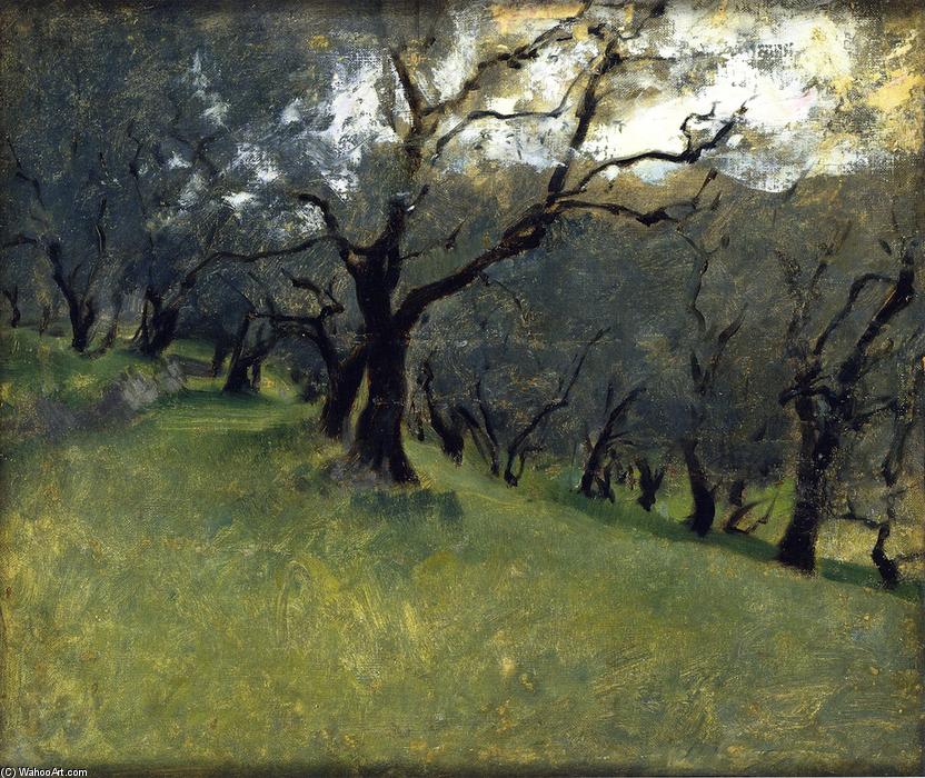 WikiOO.org - Encyclopedia of Fine Arts - Maľba, Artwork John Singer Sargent - Olive Trees