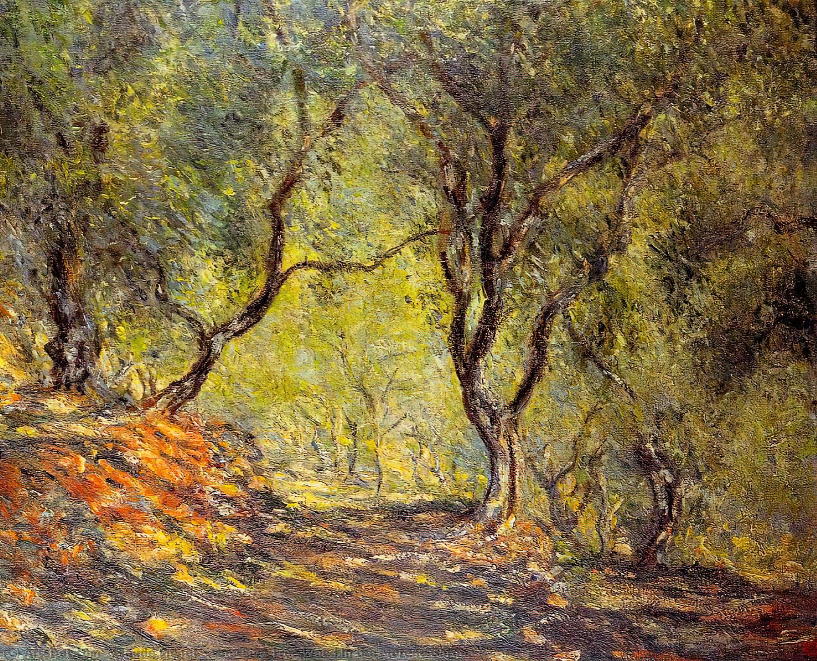 Wikioo.org – L'Enciclopedia delle Belle Arti - Pittura, Opere di Claude Monet - il bosco di ulivi nel giardino moreno
