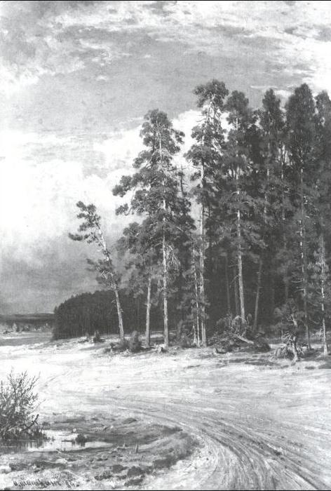 Wikioo.org - สารานุกรมวิจิตรศิลป์ - จิตรกรรม Ivan Ivanovich Shishkin - On edge of piny wood