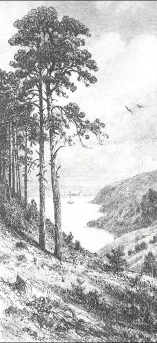 WikiOO.org - Encyclopedia of Fine Arts - Schilderen, Artwork Ivan Ivanovich Shishkin - On river Kama near Elabuga
