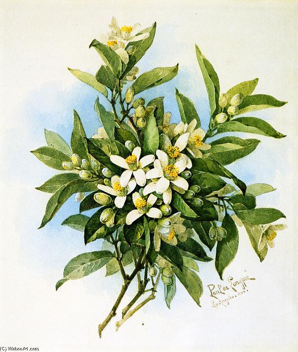 WikiOO.org - Encyclopedia of Fine Arts - Målning, konstverk Raoul De Longpre - Orange Blossoms