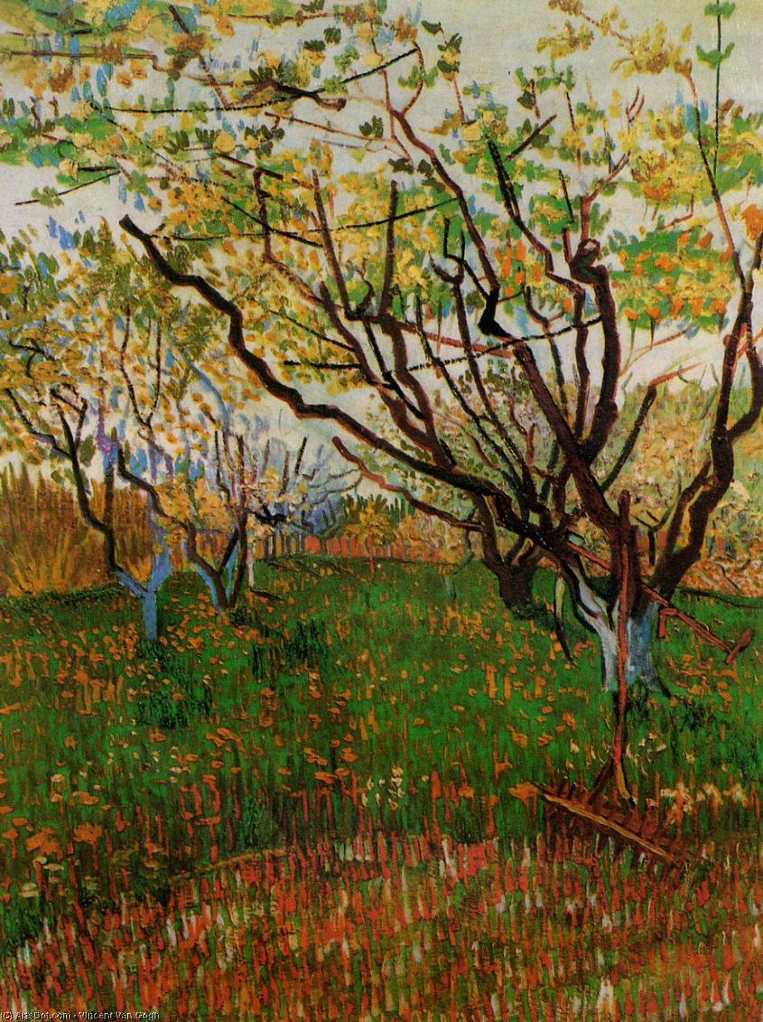 Wikioo.org – La Enciclopedia de las Bellas Artes - Pintura, Obras de arte de Vincent Van Gogh - Huerta en la floración
