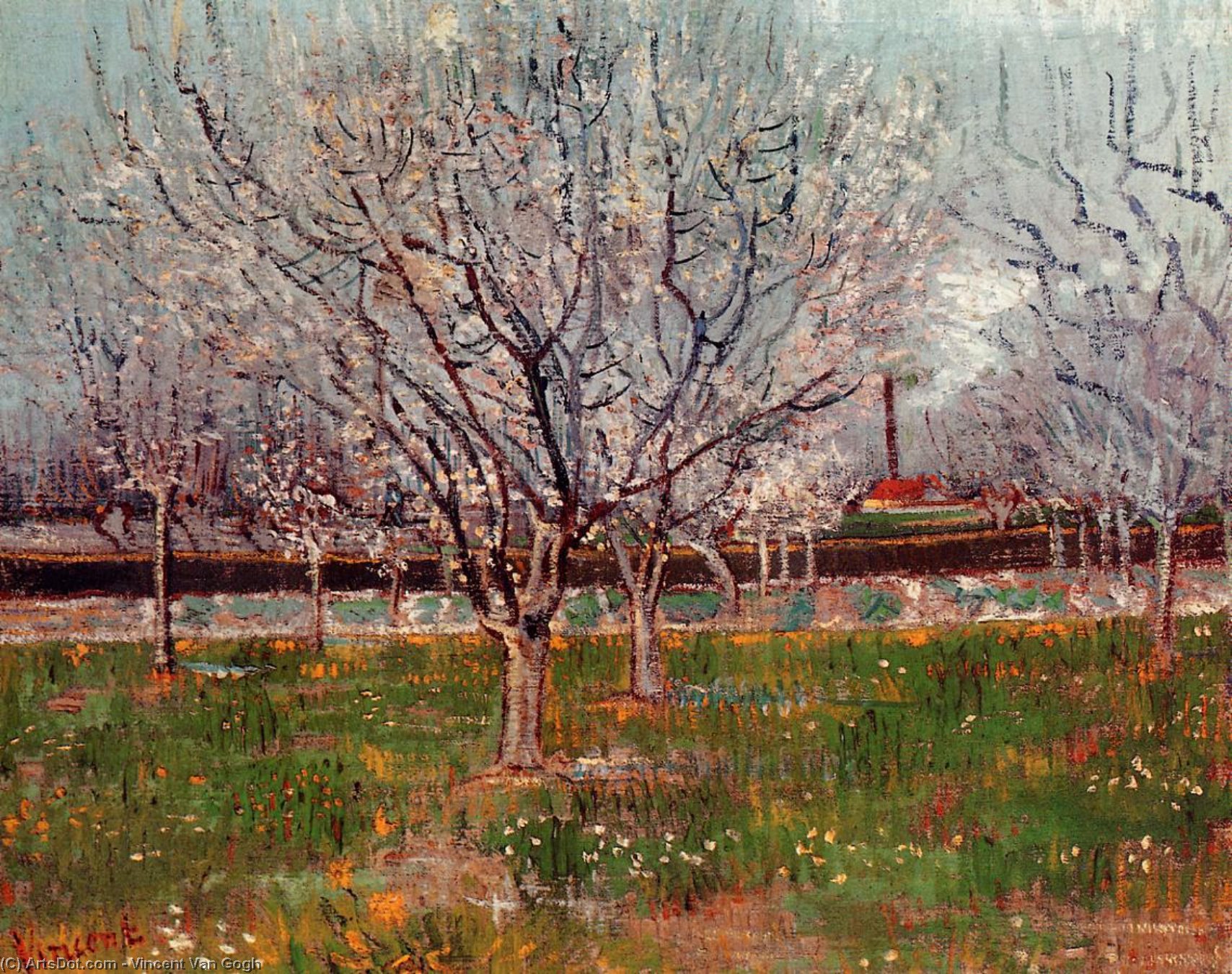 Wikioo.org - The Encyclopedia of Fine Arts - Painting, Artwork by Vincent Van Gogh - Orchard in Blossom (also known as Plum Trees)