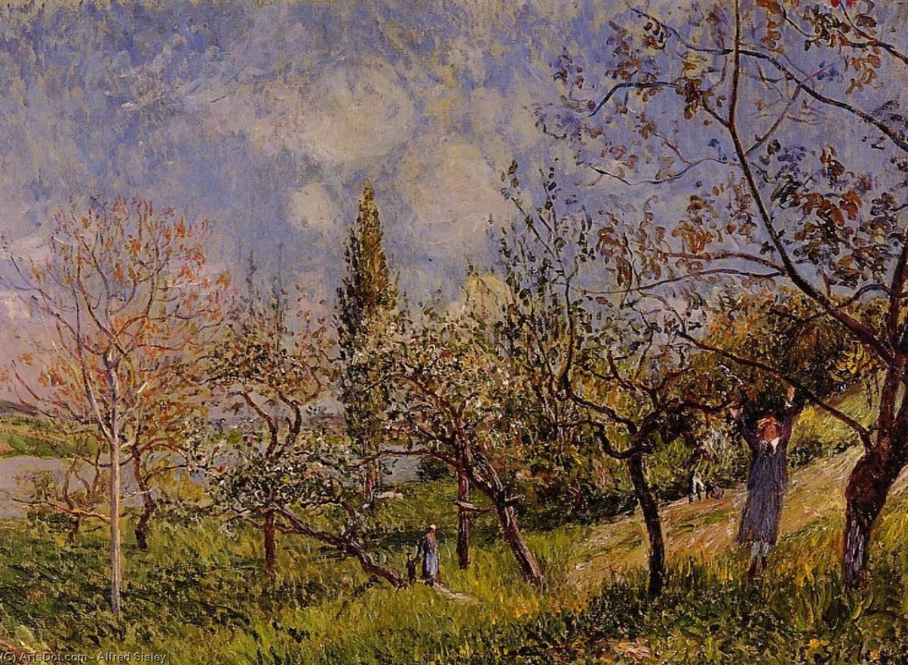 Wikioo.org - The Encyclopedia of Fine Arts - Painting, Artwork by Alfred Sisley - Orchard in Spring - By