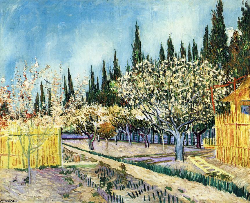 Wikioo.org - The Encyclopedia of Fine Arts - Painting, Artwork by Vincent Van Gogh - Orchard Surrounded by Cypresses