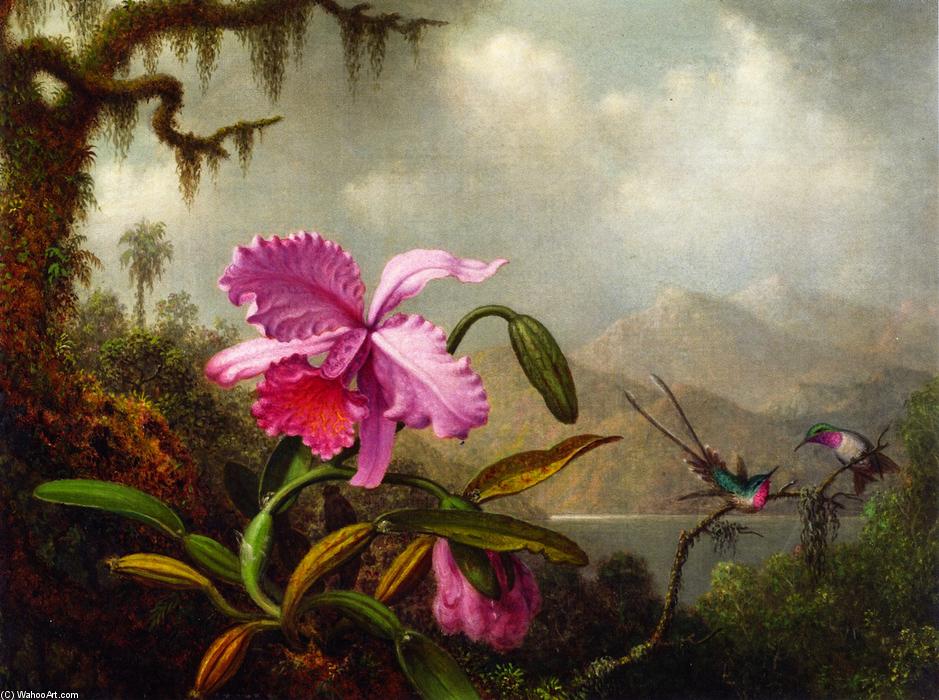 WikiOO.org - Enciclopédia das Belas Artes - Pintura, Arte por Martin Johnson Heade - Orchids and Hummingbirds near a Mountain Lake