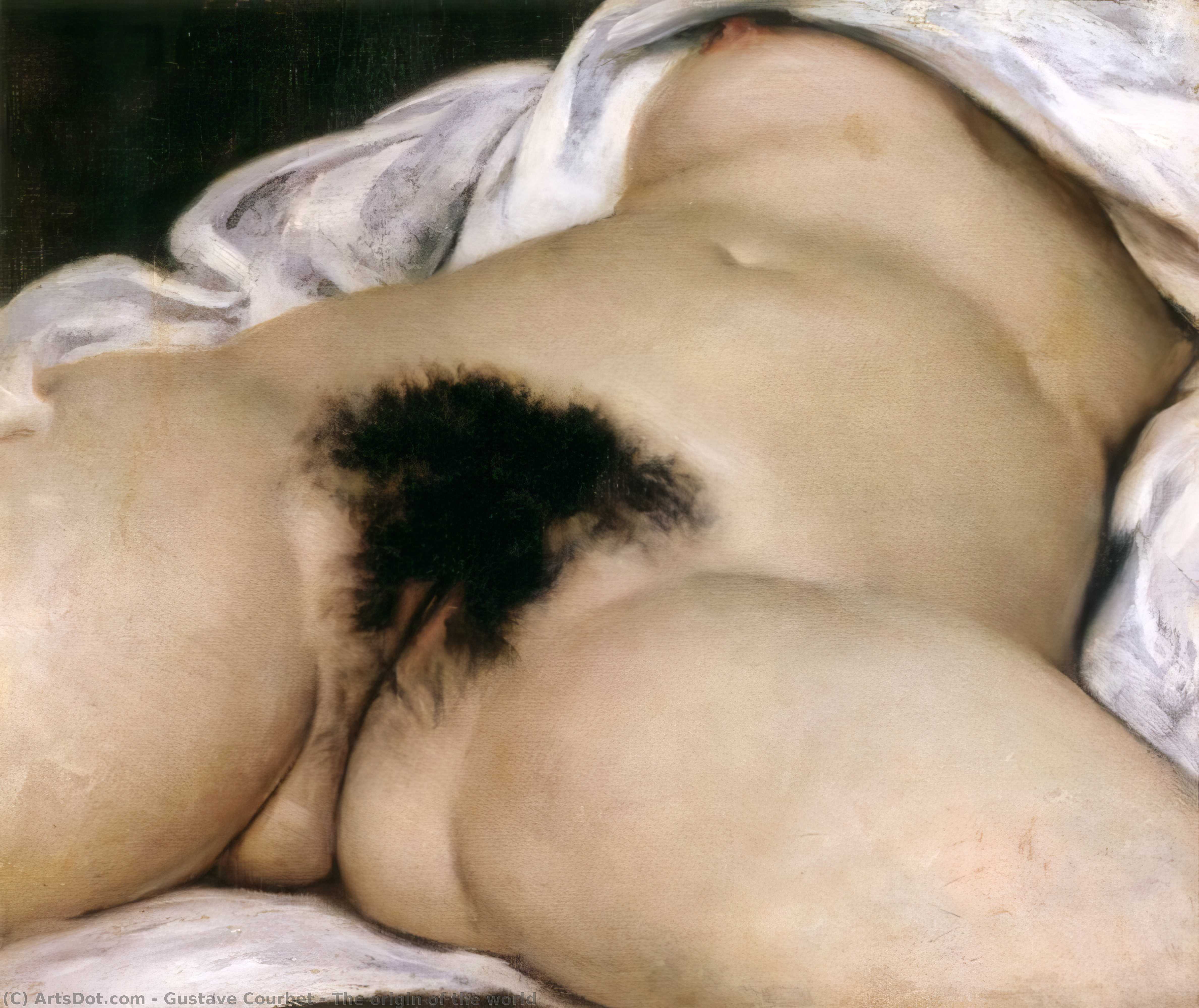 Wikioo.org - Encyklopedia Sztuk Pięknych - Malarstwo, Grafika Gustave Courbet - The origin of the world