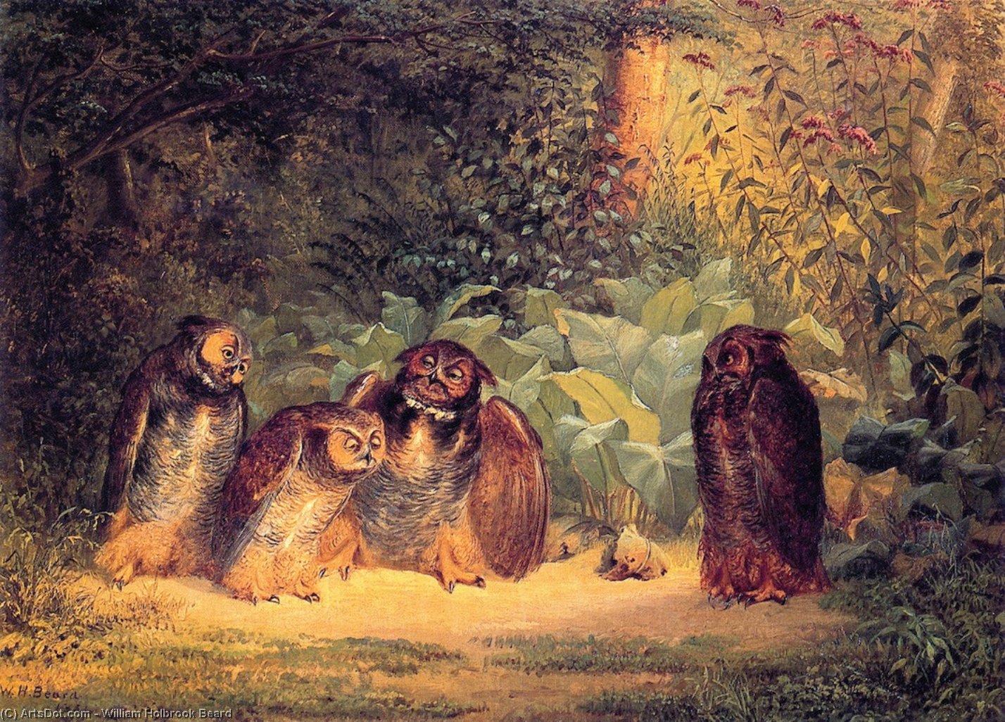 Wikioo.org - The Encyclopedia of Fine Arts - Painting, Artwork by William Holbrook Beard - Owls