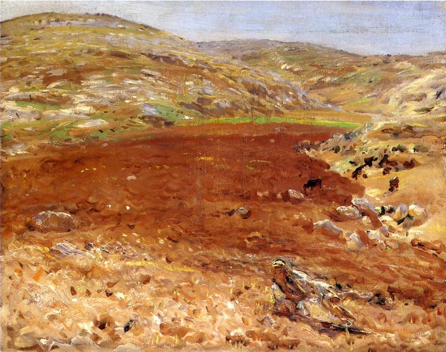 Wikioo.org - The Encyclopedia of Fine Arts - Painting, Artwork by John Singer Sargent - Palestine