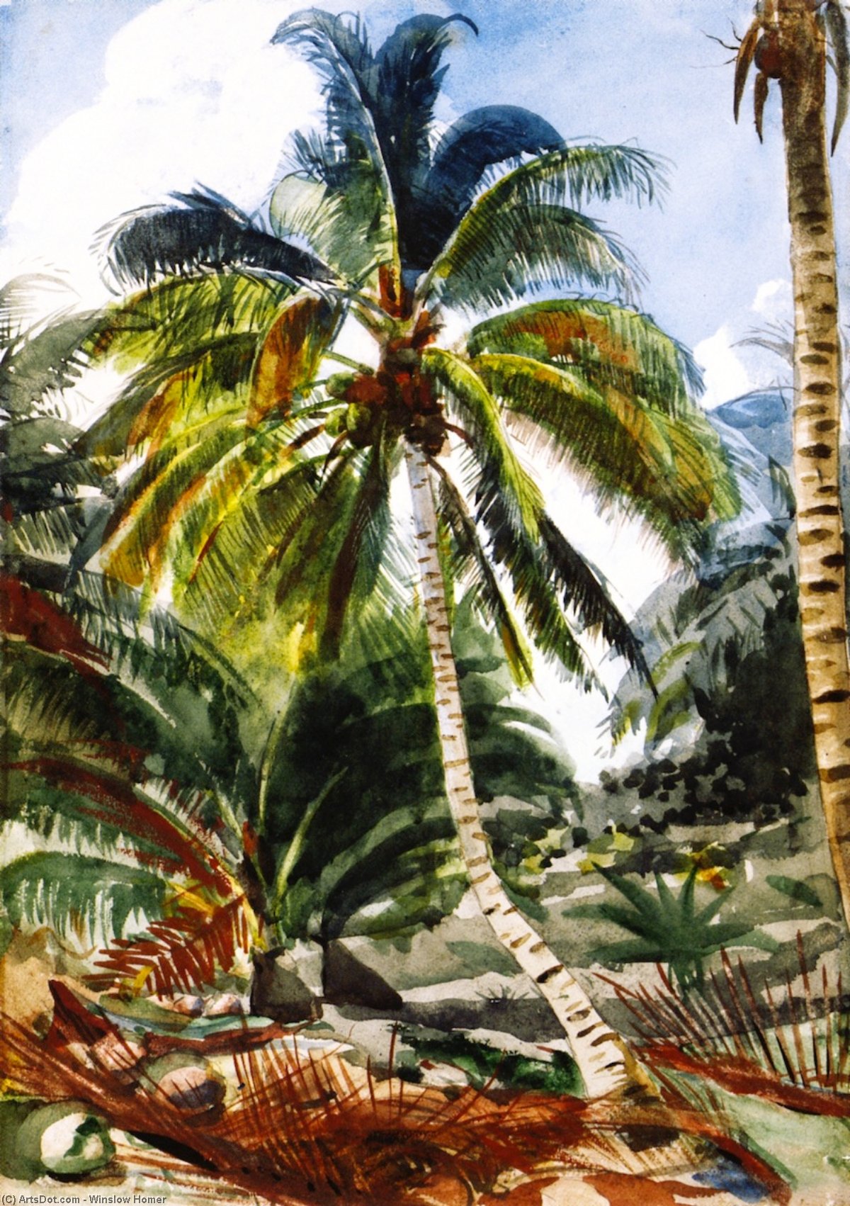 WikiOO.org - Encyclopedia of Fine Arts - Målning, konstverk Winslow Homer - Palm Trees, Bahamas