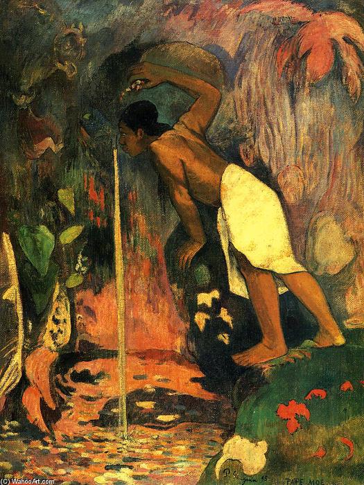 Wikioo.org - The Encyclopedia of Fine Arts - Painting, Artwork by Paul Gauguin - Pape Moe (also known as Mysterious Water)